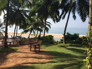 12646928_1026231667438413_4869195004402938407_o