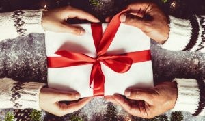 Christmas Gift Guide