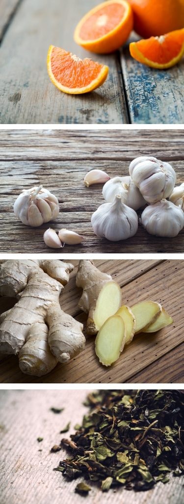 Immune System Boosters